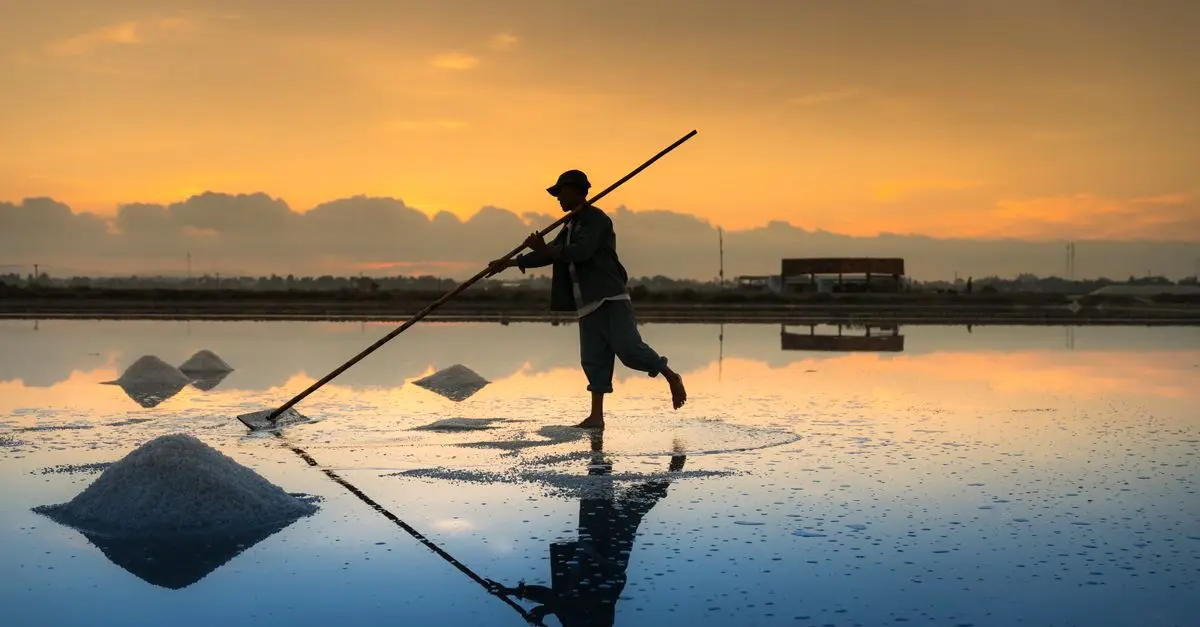 Le rôle du sel de Camargue dans la gastronomie provençale