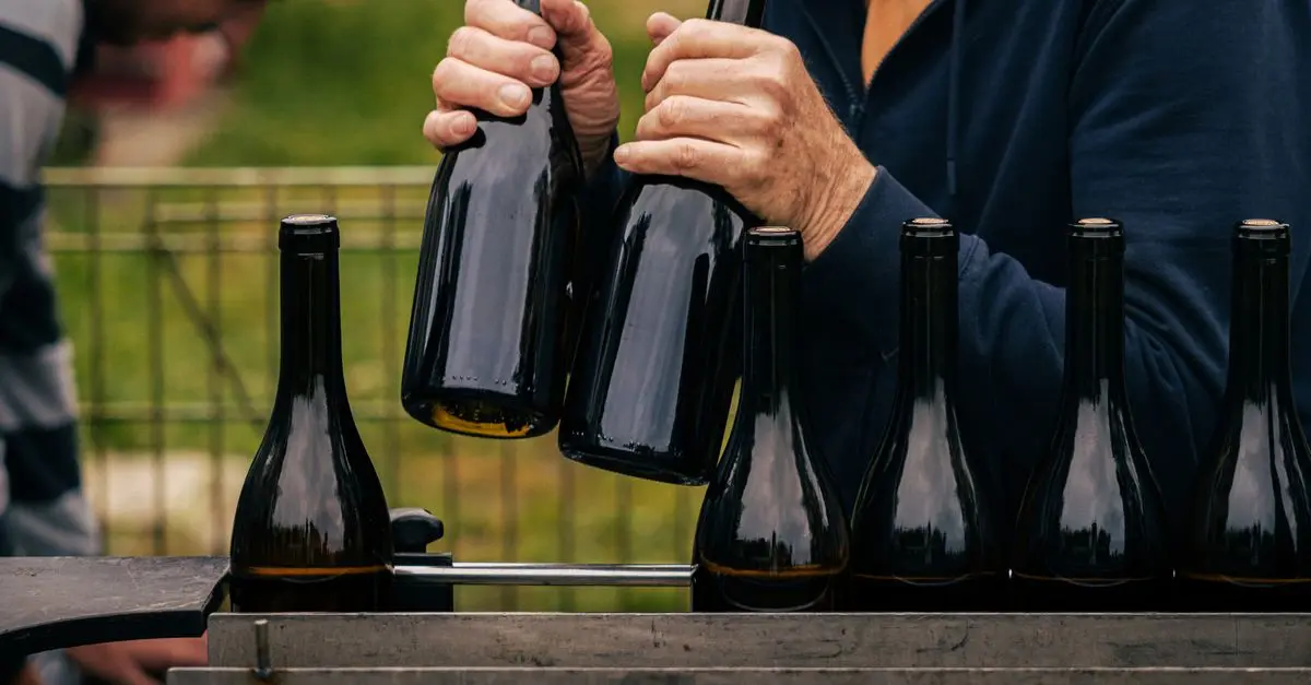 Comparatif : Les vins rouges de Provence à découvrir