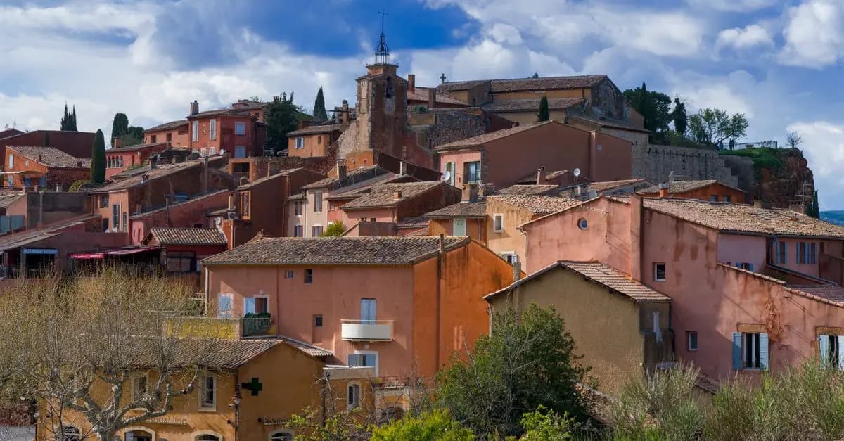 Les secrets des saveurs provençales à travers ses ingrédients