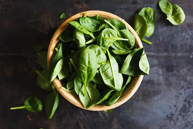 Les Saveurs Célèbres de Provence : Plats à Découvrir