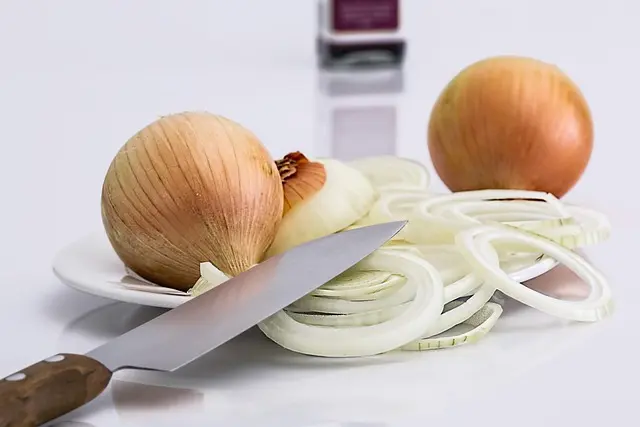 4 Plats Provençaux à Tester Absolument