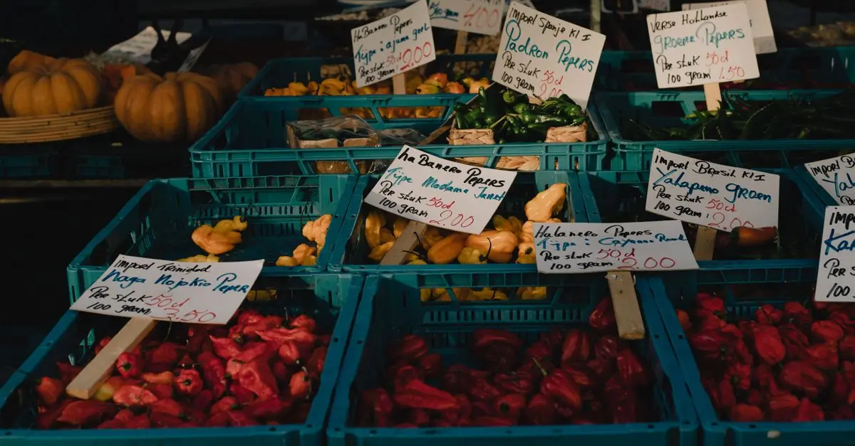Les légumes incontournables en Provence