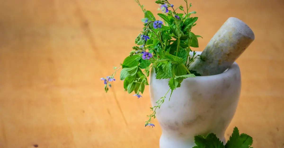 Les épices typiques pour une cuisine provençale réussie