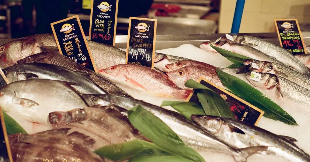 Poissons et fruits de mer : Saveurs marines de Provence