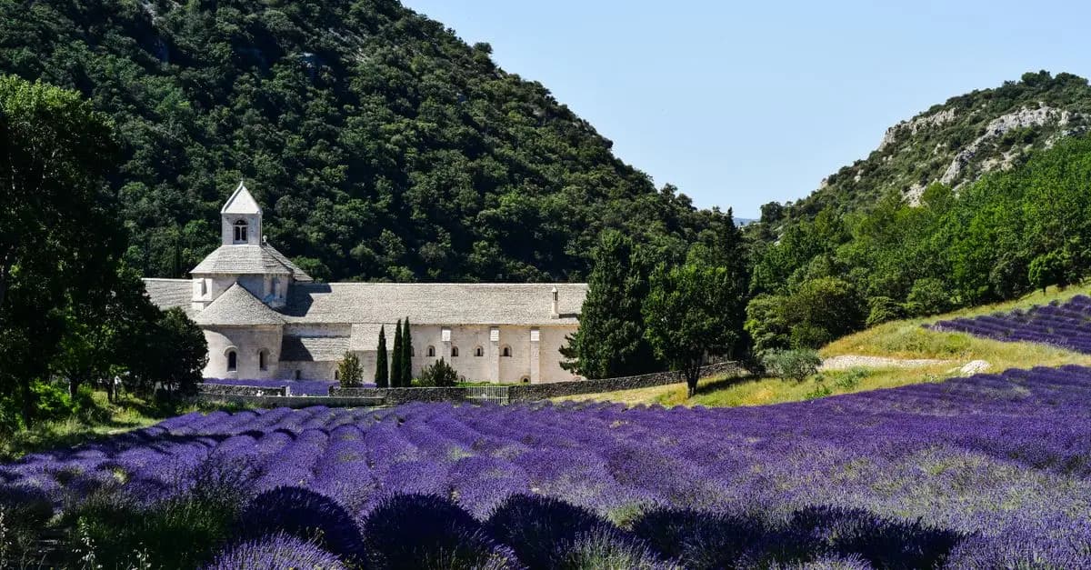Les Incontournables Saveurs de Provence à Découvrir