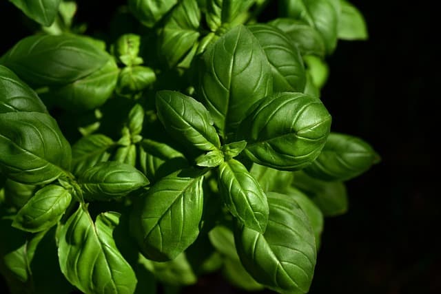 Les tendances culinaires en Provence à suivre en 2026