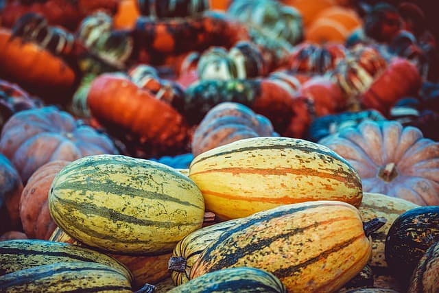 Les légumes de saison en Provence : Guide complet