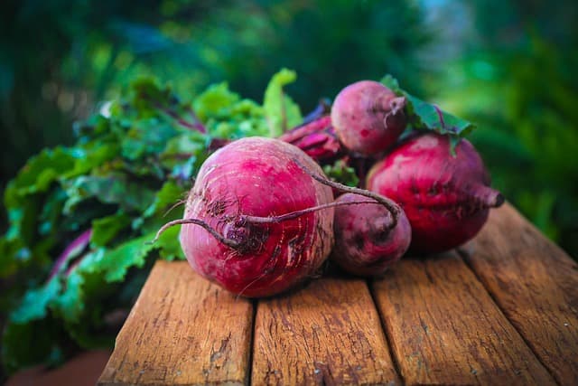 Les recettes incontournables pour sublimer les saveurs provençales