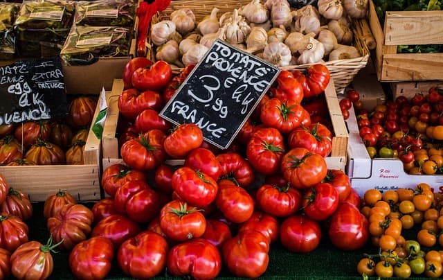 Les Tendances Culinaires en Provence à Suivre pour 2026